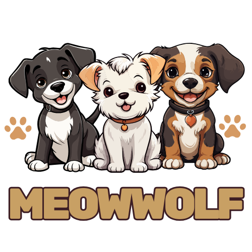 MeowWolf